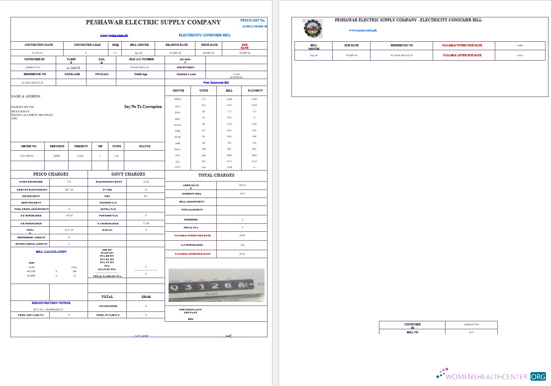 PAKISTAN PESHAWAR ELECTRIC SUPPLY COMPANY business utility bill Word and PDF template
